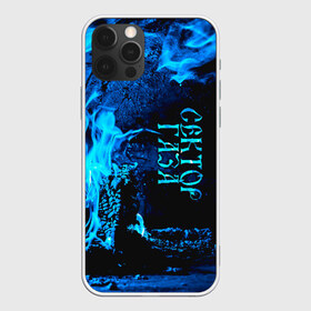 Чехол для iPhone 12 Pro Max с принтом Сектор Газа в городе Новоалтайск, Силикон |  | Тематика изображения на принте: альтернативный | газа | группа | камеди рок | клинских | мелодекламация | метал | панк | реп | рок | рэп | сг | сектор | сектор газа | синти | советский | фолк | хард | хой | хоррор | юра. юрка | юрий