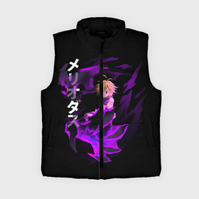 Женский жилет утепленный 3D с принтом Meliodas (JAP_STYLE) в городе Новоалтайск,  |  | anime | demon | manga | meliodas | nanatsu no taizai | the seven deadly sins | аниме | демон | манга | мелиодас
