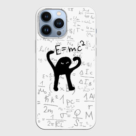 Чехол для iPhone 13 Pro Max с принтом ЪУЪ СЪУКА Emc2 в городе Новоалтайск,  |  | Тематика изображения на принте: cat | emc 2 | emc2 | mem | memes | truxkot19 | знаменитые формулы | интернет приколы | кот | мем | мем кот | физика | формулы | ъуъ | ъуъ съука | эйнштейн