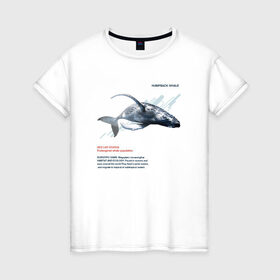Женская футболка хлопок с принтом Hampback whale в городе Новоалтайск, 100% хлопок | прямой крой, круглый вырез горловины, длина до линии бедер, слегка спущенное плечо | animals | red book | red list | животные | животные из красной книги | красная книга | редкие животные
