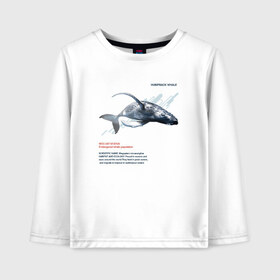 Детский лонгслив хлопок с принтом Hampback whale в городе Новоалтайск, 100% хлопок | круглый вырез горловины, полуприлегающий силуэт, длина до линии бедер | animals | red book | red list | животные | животные из красной книги | красная книга | редкие животные