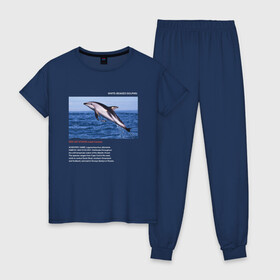 Женская пижама хлопок с принтом White-beaked Dolphin в городе Новоалтайск, 100% хлопок | брюки и футболка прямого кроя, без карманов, на брюках мягкая резинка на поясе и по низу штанин | animals | red book | red list | животные | животные из красной книги | красная книга | редкие животные