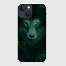 Чехол для iPhone 13 mini с принтом Сибирь. Лесной волк в городе Новоалтайск,  |  | safesibiria | siberia | алтай | волк | дикий | елки | ель | лес | охота | сибирь | сибирь горит | сибирьгорит | спаситесибирь | тайга | шерегеш | экология