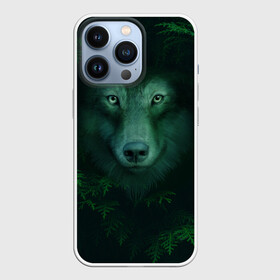 Чехол для iPhone 13 Pro с принтом Сибирь. Лесной волк в городе Новоалтайск,  |  | Тематика изображения на принте: safesibiria | siberia | алтай | волк | дикий | елки | ель | лес | охота | сибирь | сибирь горит | сибирьгорит | спаситесибирь | тайга | шерегеш | экология