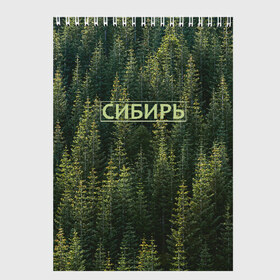 Скетчбук с принтом Сибирь в городе Новоалтайск, 100% бумага
 | 48 листов, плотность листов — 100 г/м2, плотность картонной обложки — 250 г/м2. Листы скреплены сверху удобной пружинной спиралью | елки | зеленый лес | лес | надпись | сибирь | сибирьгорит