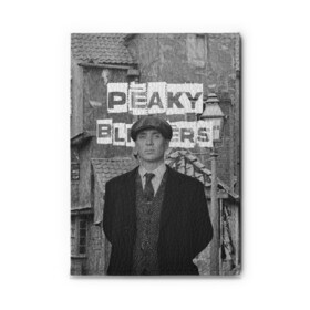 Обложка для автодокументов с принтом Peaky Blinders в городе Новоалтайск, натуральная кожа |  размер 19,9*13 см; внутри 4 больших “конверта” для документов и один маленький отдел — туда идеально встанут права | Тематика изображения на принте: peaky blinders | острые козырьки | сериал