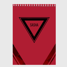 Скетчбук с принтом Геометрия Sasha в городе Новоалтайск, 100% бумага
 | 48 листов, плотность листов — 100 г/м2, плотность картонной обложки — 250 г/м2. Листы скреплены сверху удобной пружинной спиралью | заказать имя | имена | именные футболки | имя | конструктор имён | меня зовут | редактировать имя | футболки с именами | футболки с текстом