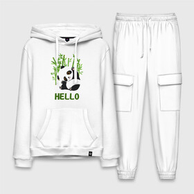 Мужской костюм хлопок с толстовкой с принтом Panda Hello в городе Новоалтайск,  |  | panda hello | животные | панда | панды | привет