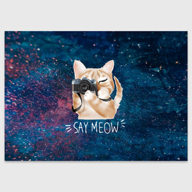 Поздравительная открытка с принтом Say Meow в городе Новоалтайск, 100% бумага | плотность бумаги 280 г/м2, матовая, на обратной стороне линовка и место для марки
 | meow | кот | котенок | котик | котики | котятка | кошка | мяу | скажи мяу | фотоаппарат | фотограф