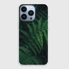 Чехол для iPhone 13 Pro с принтом Листья в городе Новоалтайск,  |  | Тематика изображения на принте: дерево | листья | природа | растения