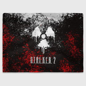 Плед 3D с принтом S.T.A.L.K.E.R. 2 в городе Новоалтайск, 100% полиэстер | закругленные углы, все края обработаны. Ткань не мнется и не растягивается | bandit | chernobyl | pripyat | s.t.a.l.k.e.r. 2 | shadow of chernobyl | stalker | stalker 2 | бандиты | меченый | припять | сталкер | сталкер 2 | тени чернобыля | чернобыль | чистое небо