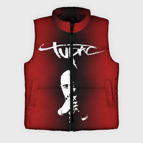 Мужской жилет утепленный 3D с принтом 2Pac в городе Новоалтайск,  |  | 2 pac | 2 pack | 2 pak | 2pack | 2pak | gangsta | gangster | hiphop | makaveli | mc new york | rap | thug life | tu pac | tupac | tupac shakur | tupack | two pac | west coast | гангста | реп | рэп | ту пак | тупак