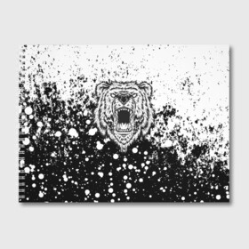 Альбом для рисования с принтом Grizzly Bear в городе Новоалтайск, 100% бумага
 | матовая бумага, плотность 200 мг. | Тематика изображения на принте: animal | bear | grizzly | paint | гризли | животные | краска | медведь