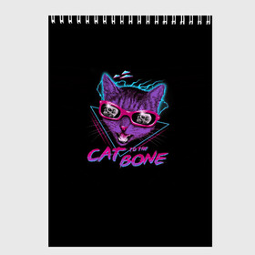 Скетчбук с принтом Cat To The Bone в городе Новоалтайск, 100% бумага
 | 48 листов, плотность листов — 100 г/м2, плотность картонной обложки — 250 г/м2. Листы скреплены сверху удобной пружинной спиралью | 80 | bone | bones | cat | cyber | game | hotline | hotlinemiami | maiami | music | outrun | retro | retrowave | skull | synth | synthwave | игра | кибер | кот | кошка | ретро | череп
