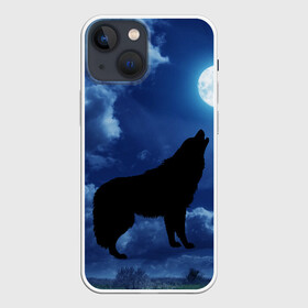 Чехол для iPhone 13 mini с принтом WOLF в городе Новоалтайск,  |  | wolf | волк | луна | ночь