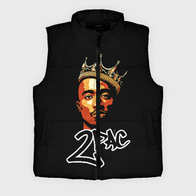 Мужской жилет утепленный 3D с принтом 2pac в городе Новоалтайск,  |  | 2pac | nigga | oldschool | pac | rap | нигга | олдскулл | пак | рэп | тупак