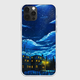 Чехол для iPhone 12 Pro Max с принтом ЗИМНЯЯ НОЧЬ в городе Новоалтайск, Силикон |  | Тематика изображения на принте: star | stars | texture | вечер | вечерние иллюстрации | звезда | звезды | ночной пейзаж | ночные | ночь | природа | прогулки | текстуры