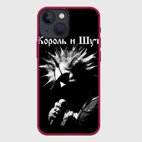 Чехол для iPhone 13 mini с принтом Король и Шут + Анархия (спина) в городе Новоалтайск,  |  | skull | киш | король | король и шут | михаил горшенев | черепа | шут