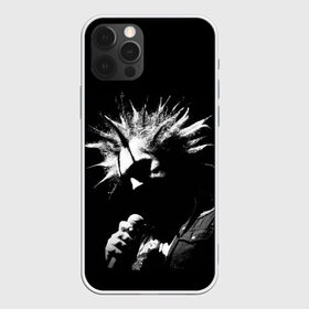 Чехол для iPhone 12 Pro Max с принтом Король и Шут + Анархия (спина) в городе Новоалтайск, Силикон |  | Тематика изображения на принте: skull | киш | король | король и шут | михаил горшенев | черепа | шут