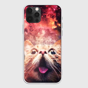 Чехол для iPhone 12 Pro Max с принтом КОТ в городе Новоалтайск, Силикон |  | Тематика изображения на принте: cat | cats | животные | киса | киска | кот | котики | коты | котэ | кошка | природа