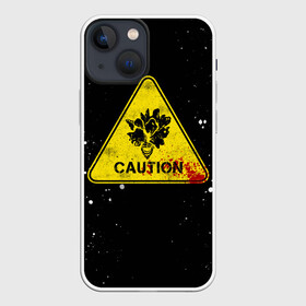 Чехол для iPhone 13 mini с принтом THE LAST OF US в городе Новоалтайск,  |  | fireflies | look for the light | the last of us | джоэл | игры | одни из нас | цикады | элли