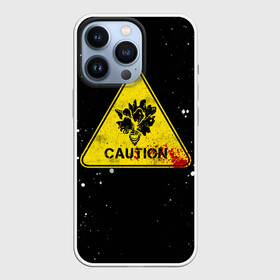 Чехол для iPhone 13 Pro с принтом THE LAST OF US в городе Новоалтайск,  |  | fireflies | look for the light | the last of us | джоэл | игры | одни из нас | цикады | элли