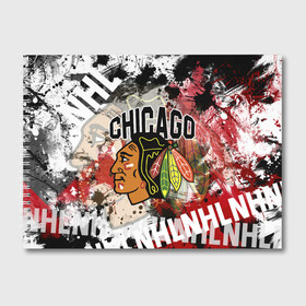 Альбом для рисования с принтом Chicago Blackhawks в городе Новоалтайск, 100% бумага
 | матовая бумага, плотность 200 мг. | blackhawks | chicago | chicago blackhawks | hockey | nhl | usa | блэкхокс | нхл | спорт | сша | хоккей | чикаго | чикаго блэкхокс | шайба