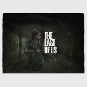 Плед 3D с принтом THE LAST OF US в городе Новоалтайск, 100% полиэстер | закругленные углы, все края обработаны. Ткань не мнется и не растягивается | cicadas | fireflies | naughty dog | the last of us | the last of us part 2 | джоэл | последние из нас | цикады | элли