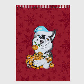 Скетчбук с принтом Christmas Husky в городе Новоалтайск, 100% бумага
 | 48 листов, плотность листов — 100 г/м2, плотность картонной обложки — 250 г/м2. Листы скреплены сверху удобной пружинной спиралью | Тематика изображения на принте: happy new year | santa | дед мороз | каникулы | мороз | новогодний свитер | новый год | оливье | праздник | рождество | санта клаус | свитер новогодний | снег | снегурочка | снежинки