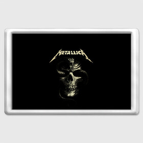 Магнит 45*70 с принтом Metallica в городе Новоалтайск, Пластик | Размер: 78*52 мм; Размер печати: 70*45 | Тематика изображения на принте: heavy metal | metal | metallica | гитара | группы | метал | металлика | музыка | рок | трэш метал | хєви метал