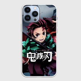 Чехол для iPhone 13 Pro Max с принтом Клинок рассекающий демонов в городе Новоалтайск,  |  | anime | demon slayer | kimetsu no yaiba | nezuko | tanjiro | аниме | клинок рассекающий демонов | клинок уничтожающий демонов | манга | нэдзуко | тандзиро