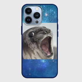 Чехол для iPhone 13 Pro с принтом Тюлень в городе Новоалтайск,  |  | животное | забавный | мем | тюлень | я