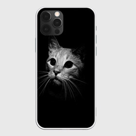 Чехол для iPhone 12 Pro Max с принтом Кошачья морда в городе Новоалтайск, Силикон |  | кот | кошка | темнота