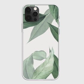 Чехол для iPhone 12 Pro Max с принтом Из тропиков в городе Новоалтайск, Силикон |  | Тематика изображения на принте: branch | foliage | leafy | nature | ветка | веточка | зеленый | лист | листочки | листья | природа | черный