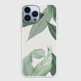 Чехол для iPhone 13 Pro Max с принтом Из тропиков в городе Новоалтайск,  |  | Тематика изображения на принте: branch | foliage | leafy | nature | ветка | веточка | зеленый | лист | листочки | листья | природа | черный