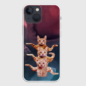 Чехол для iPhone 13 mini с принтом Танцующие коты в городе Новоалтайск,  |  | cats | забавный | котики | коты | мем | прикол | смешная | танцующие коты