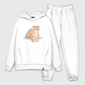 Мужской костюм хлопок OVERSIZE с принтом Толстый Кот в городе Новоалтайск,  |  | cat | cat meme | интернет | кот | кот кусь | кот мем | котейка | котенок | кошак | мем | мем с котом | мемы с котиками | приколы | удивленный кот мем