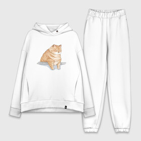 Женский костюм хлопок Oversize с принтом Толстый Кот в городе Новоалтайск,  |  | cat | cat meme | интернет | кот | кот кусь | кот мем | котейка | котенок | кошак | мем | мем с котом | мемы с котиками | приколы | удивленный кот мем