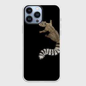 Чехол для iPhone 13 Pro Max с принтом И мой зверёк со мною в городе Новоалтайск,  |  | белка | биолог | биология | друг | дружба | дружок | енот | животное | забота | зверек | звереныш | зверь | зоолог | зоология | лемур | питомец | подарок биологу | подарок дочке | подарок зоологу