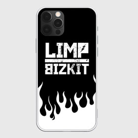 Чехол для iPhone 12 Pro Max с принтом Limp Bizkit в городе Новоалтайск, Силикон |  | bizkit | limp | limp bizkit | music | rock | бизкиты | лимп бизкит | лимпы | липкие письки | музыка | рок