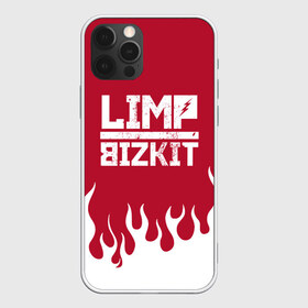 Чехол для iPhone 12 Pro Max с принтом Limp Bizkit в городе Новоалтайск, Силикон |  | bizkit | limp | limp bizkit | music | rock | бизкиты | лимп бизкит | лимпы | липкие письки | музыка | рок
