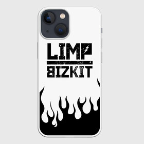 Чехол для iPhone 13 mini с принтом Limp Bizkit в городе Новоалтайск,  |  | bizkit | limp | limp bizkit | music | rock | бизкиты | лимп бизкит | лимпы | липкие письки | музыка | рок