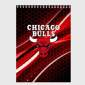 Скетчбук с принтом CHICAGO BULLS в городе Новоалтайск, 100% бумага
 | 48 листов, плотность листов — 100 г/м2, плотность картонной обложки — 250 г/м2. Листы скреплены сверху удобной пружинной спиралью | Тематика изображения на принте: bulls | chicago | chicago bulls | nba | red bulls | usa | америка | быки | нба | сша | чикаго буллс