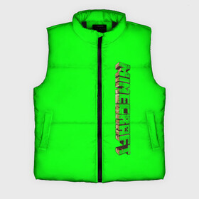 Мужской жилет утепленный 3D с принтом Minecraft в городе Новоалтайск,  |  | game | minecraft | блоки | игра | квадраты | компьютерная игра | крипер | майнкрафт