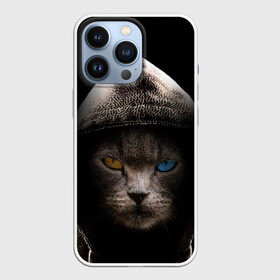 Чехол для iPhone 13 Pro с принтом Уличный кот в городе Новоалтайск,  |  | Тематика изображения на принте: cat | животные | киска | кот | котик | коты | котэ | кошка | кошки