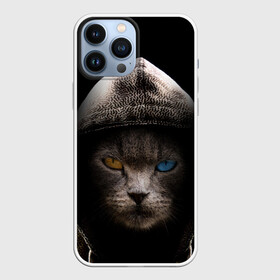Чехол для iPhone 13 Pro Max с принтом Уличный кот в городе Новоалтайск,  |  | Тематика изображения на принте: cat | животные | киска | кот | котик | коты | котэ | кошка | кошки