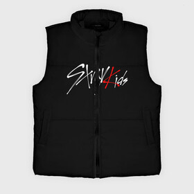 Мужской жилет утепленный 3D с принтом STRAY KIDS в городе Новоалтайск,  |  | skz | stray kids | бан чан | ли ноу | скз | стрей кидс | сынмин | уджин | феликс | хан | хёджин | чанбин