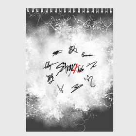 Скетчбук с принтом STRAY KIDS в городе Новоалтайск, 100% бумага
 | 48 листов, плотность листов — 100 г/м2, плотность картонной обложки — 250 г/м2. Листы скреплены сверху удобной пружинной спиралью | Тематика изображения на принте: skz | stray kids | бан чан | ли ноу | скз | стрей кидс | сынмин | уджин | феликс | хан | хёджин | чанбин