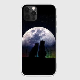 Чехол для iPhone 12 Pro Max с принтом Льбовь под луной в городе Новоалтайск, Силикон |  | Тематика изображения на принте: волшебство ночи | котики | любовь | пара | романтика