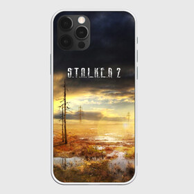 Чехол для iPhone 12 Pro Max с принтом STALKER 2 в городе Новоалтайск, Силикон |  | s.t.a.l.k.e.r. | stalker | арт | зона | зона отчуждения | игра | мутант | пейзаж | припять | радиация | радиоктивный фон | сталкер | чернобыль